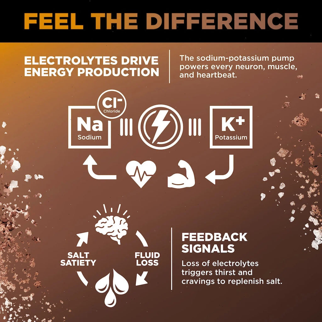 Chocolate Caramel - LMNT Zero-Sugar Electrolytes