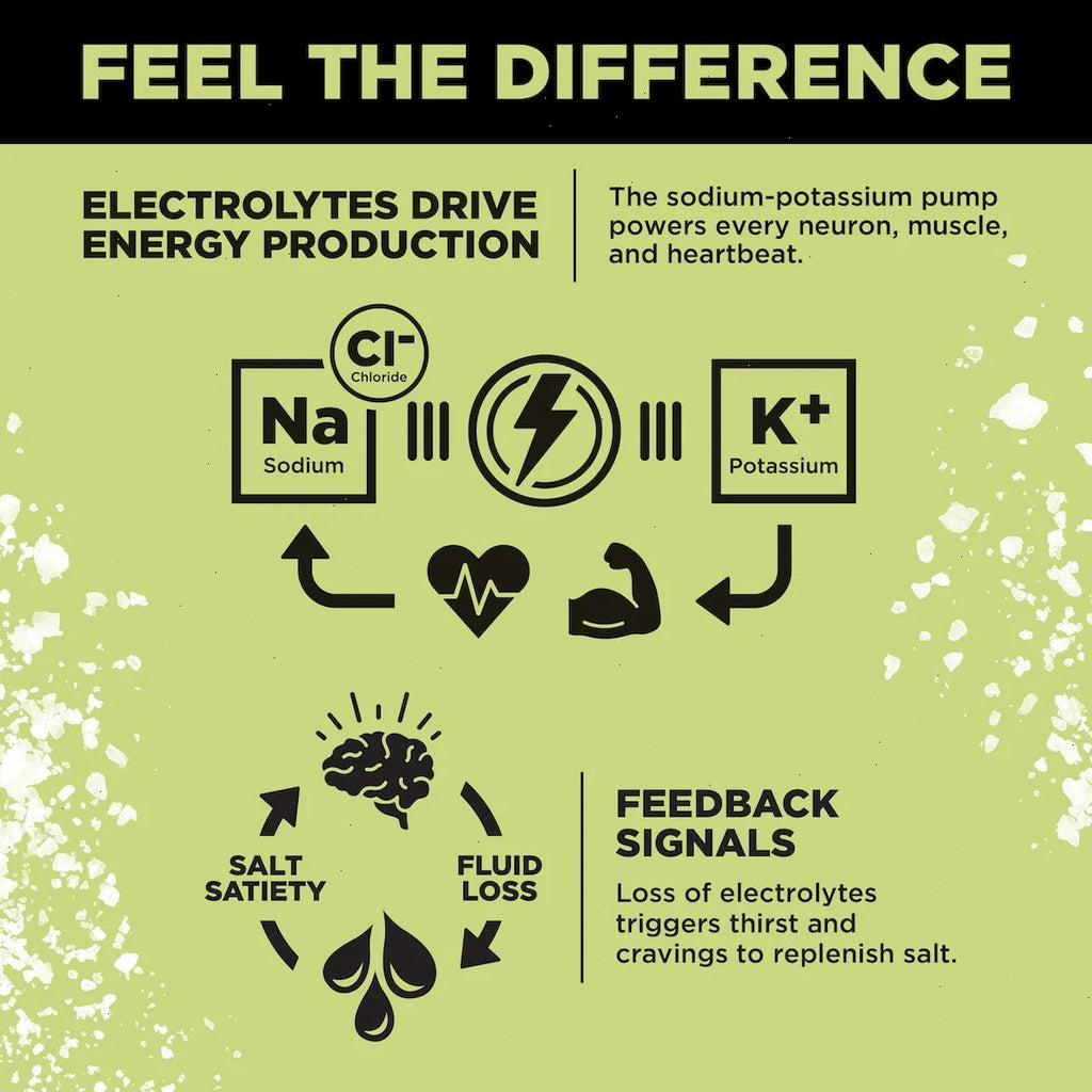 Citrus Salt - LMNT Zero-Sugar Electrolytes