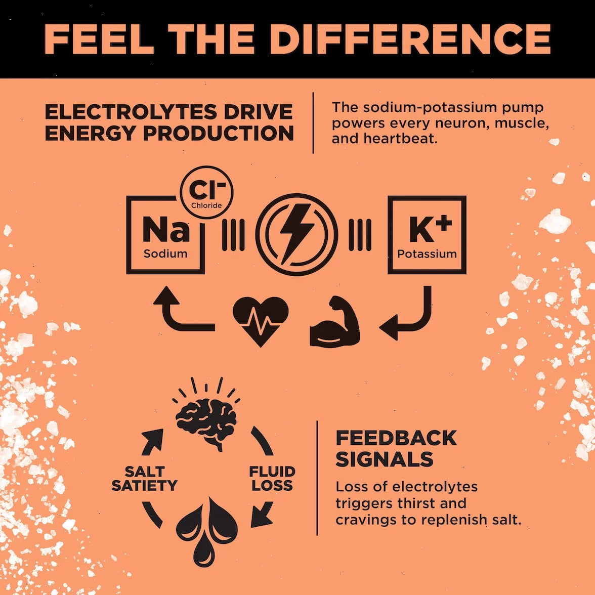 Grapefruit Salt - LMNT Zero-Sugar Electrolytes