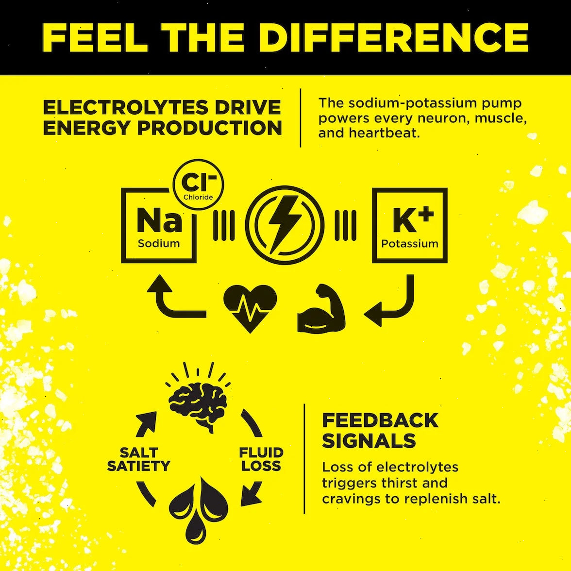 Lemonade Salt - LMNT Zero-Sugar Electrolytes