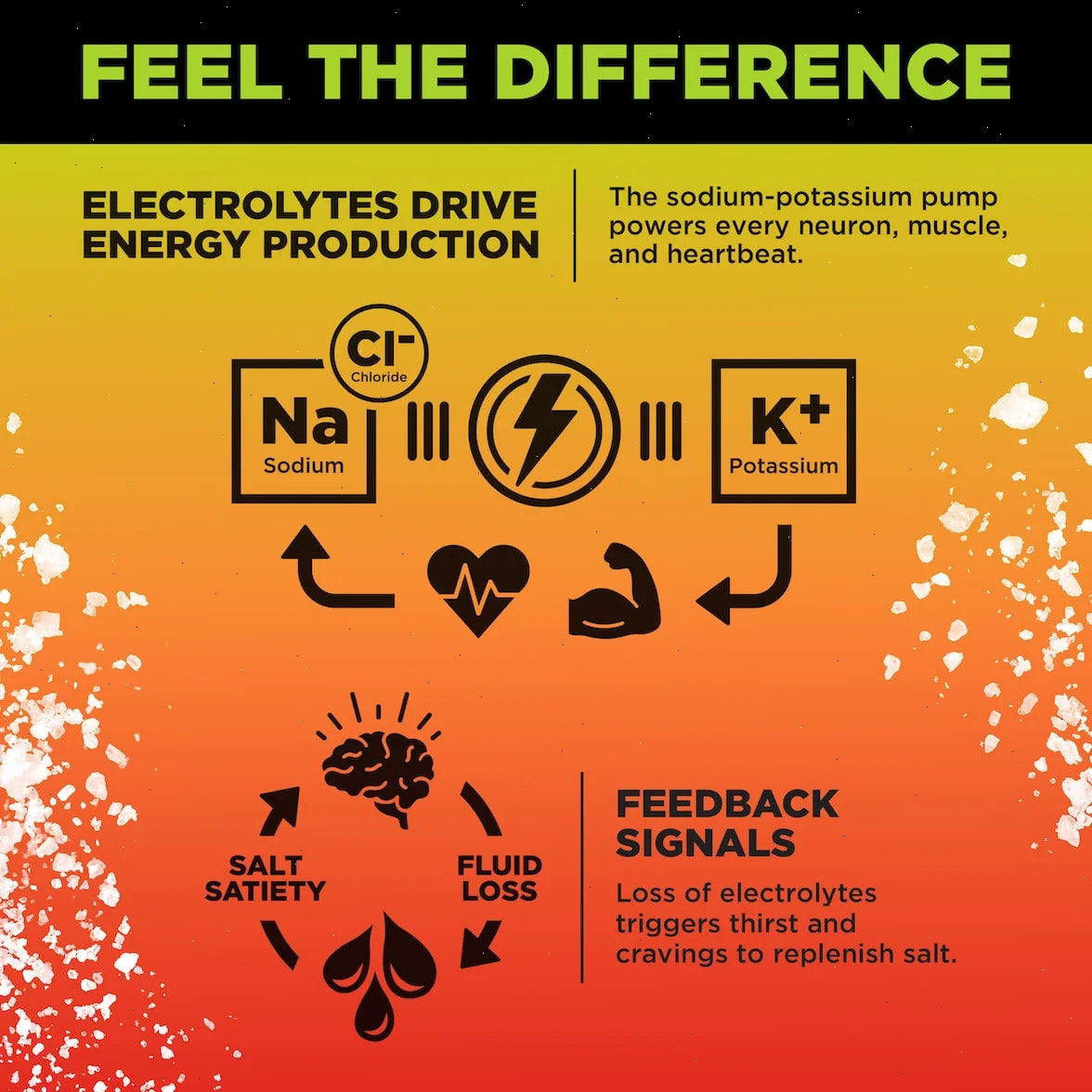 Mango Chili - LMNT Zero-Sugar Electrolytes