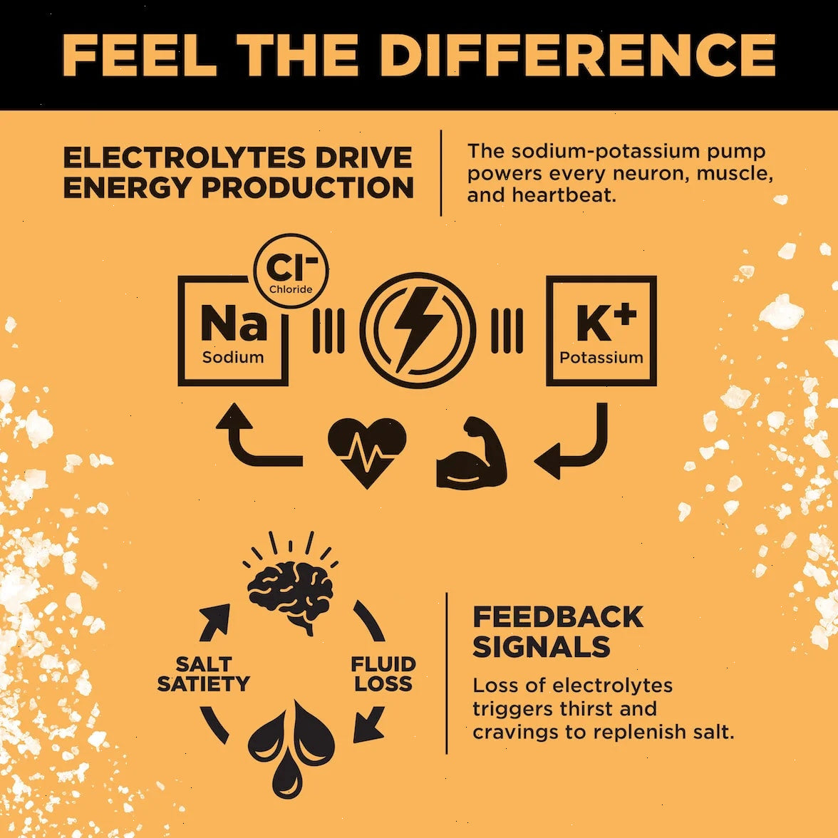 Orange Salt - LMNT Zero-Sugar Electrolytes