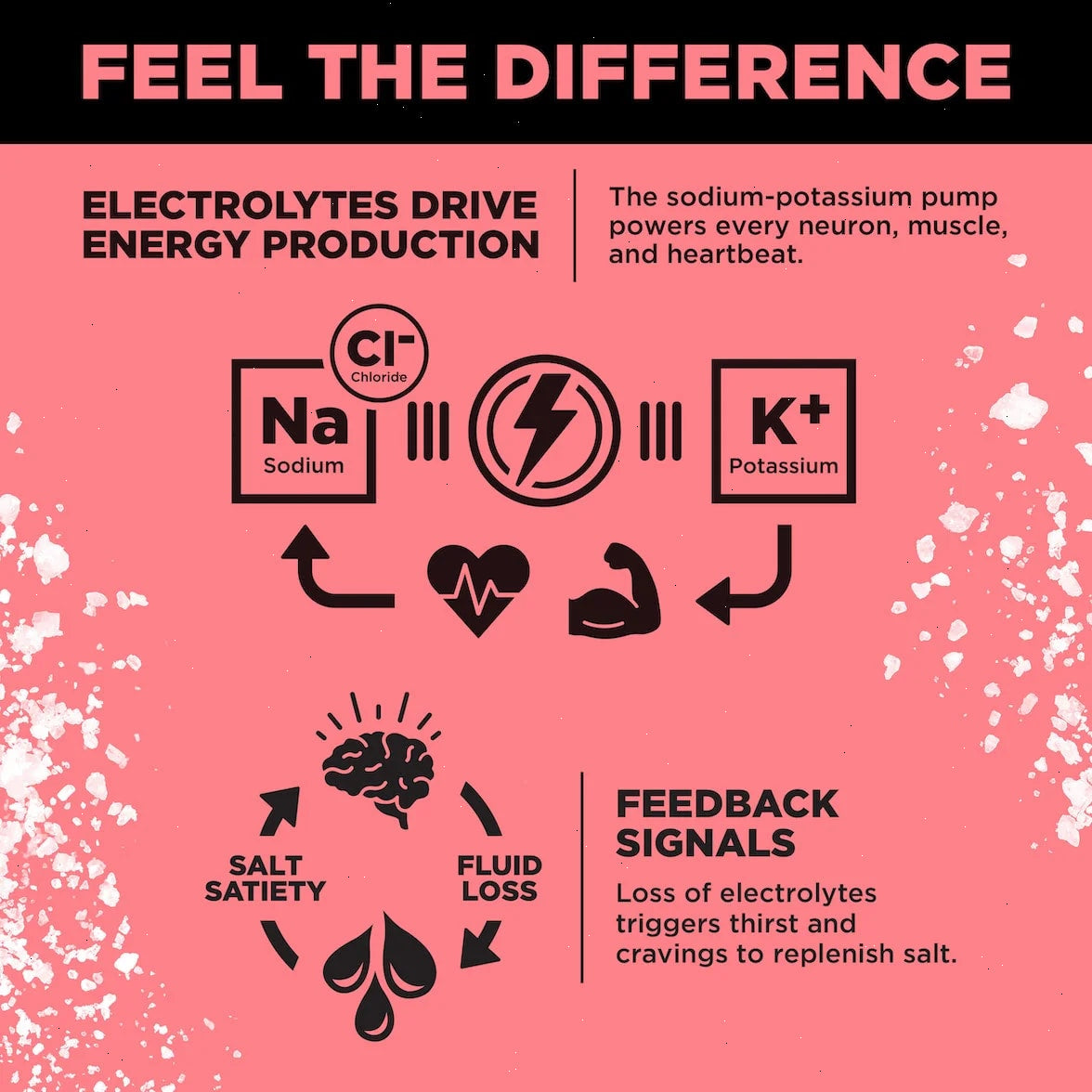 Raspberry Salt - LMNT Zero-Sugar Electrolytes
