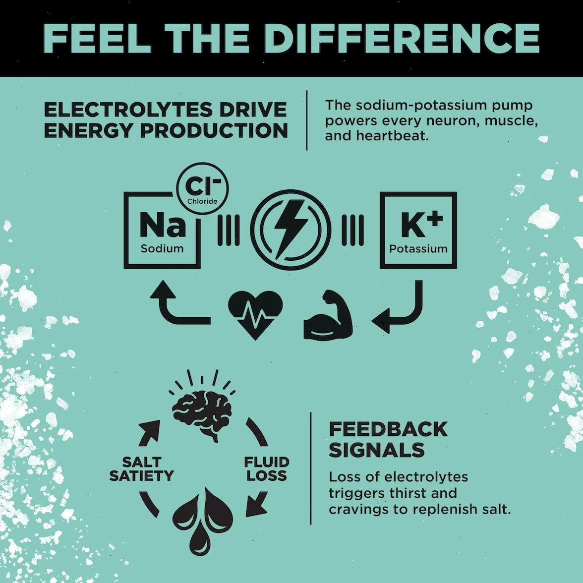 Raw Unflavored - LMNT Zero-Sugar Electrolytes