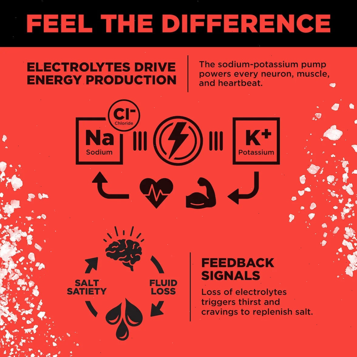 Watermelon Salt - LMNT Zero-Sugar Electrolytes
